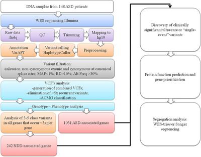 Impaired Neurodevelopmental Genes in Slovenian Autistic Children Elucidate the Comorbidity of Autism With Other Developmental Disorders